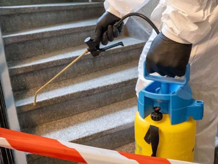 Désinsectisation professionnelle Île-de-France