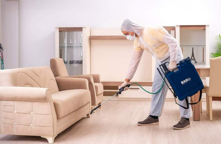 Technicien traitant un canapé