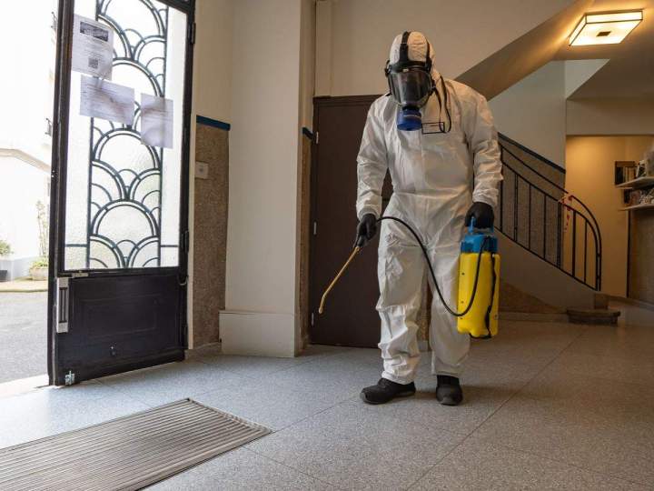 Spécialistes en désinsectisation en Île-de-France