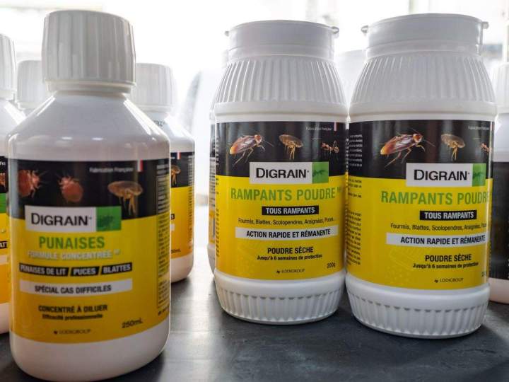 Dératisation et désinsectisation