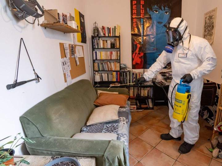 Expert décontamination nuisibles Île-de-France