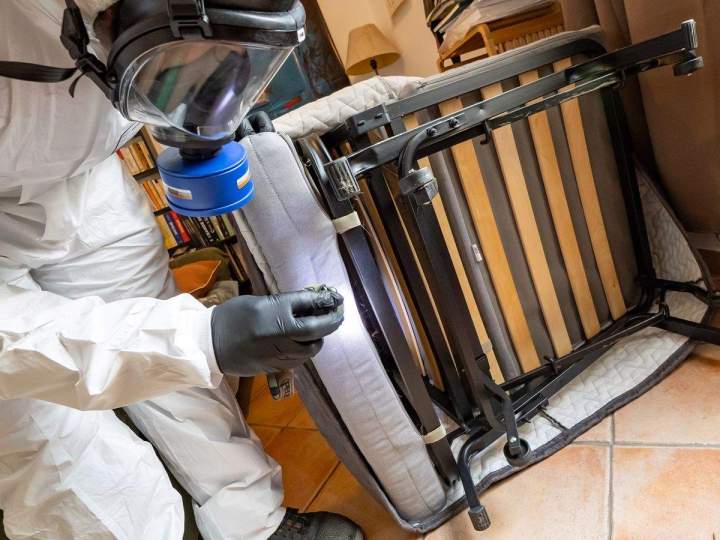 Gestion nuisible complète Île-de-France 