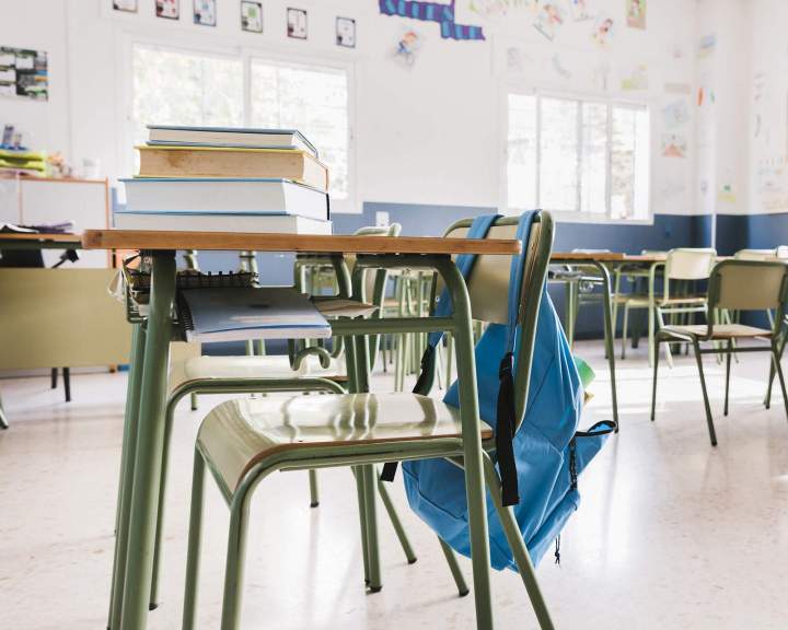 Traitement nuisibles dans les écoles en Île-de-France
