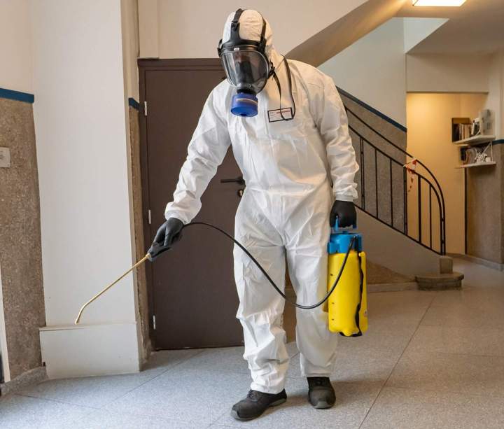 Éradication des contaminants pour assainir et sécuriser les lieux 