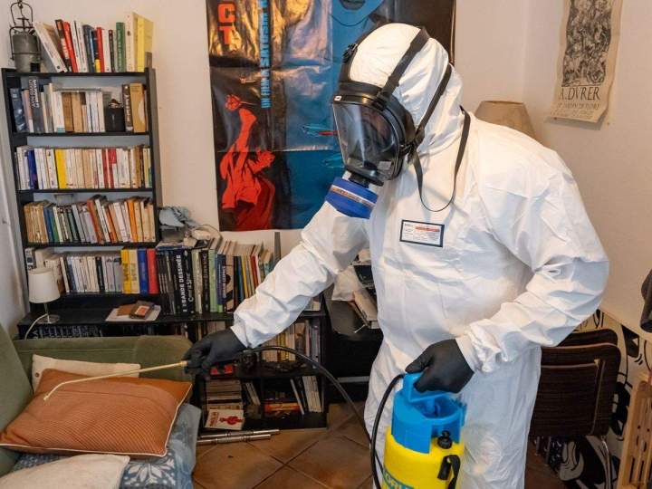 Assainissement complet de vos espaces après une infestation